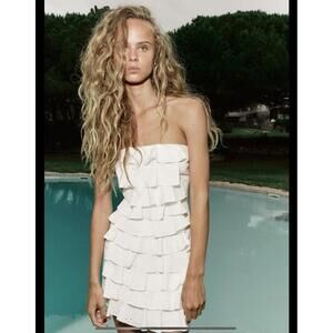 NWT Zara Poplin Dress Size L